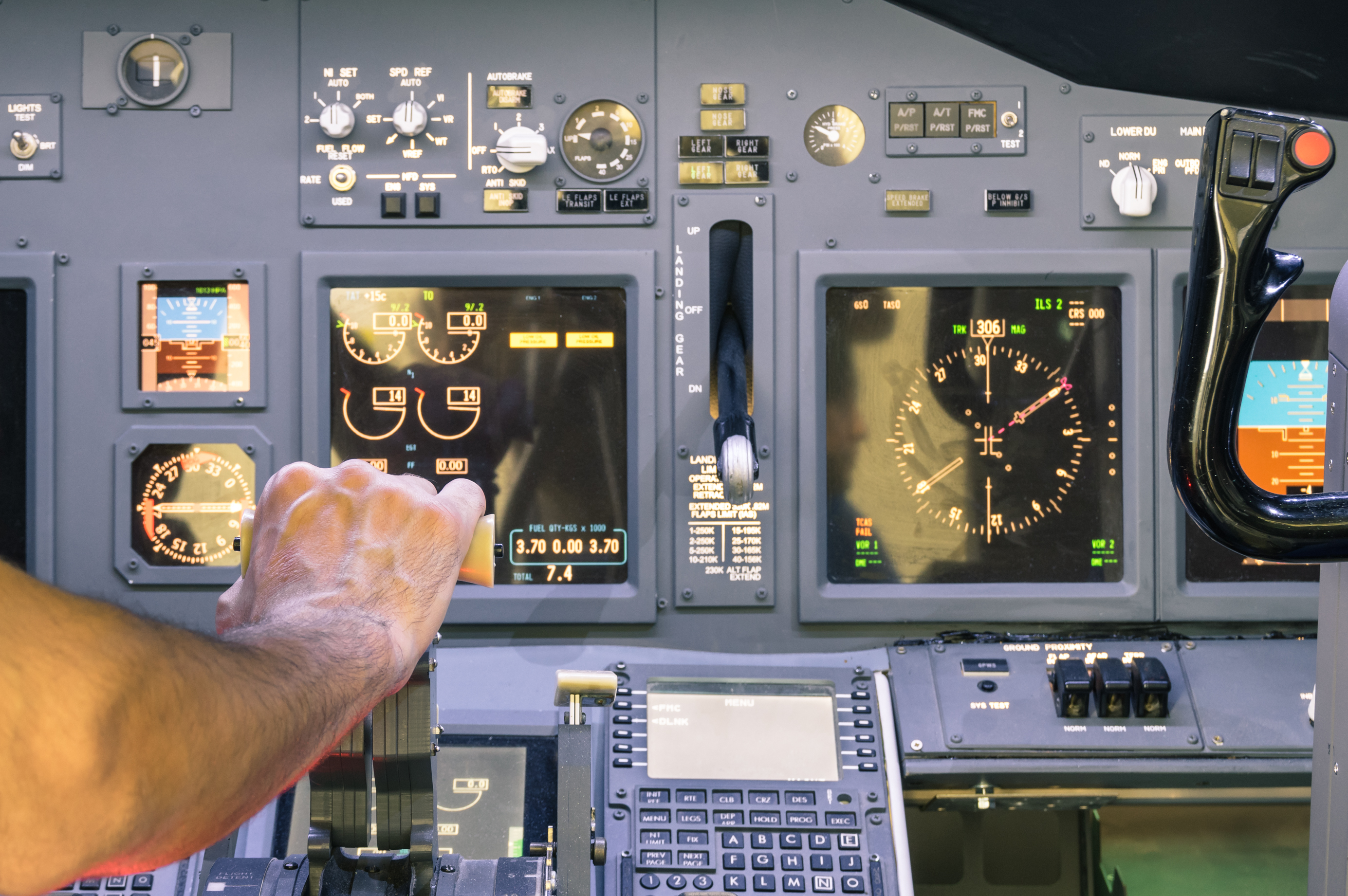 Flight simulator